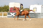 SBM_06884