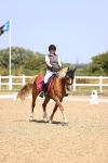 SBM_010389