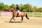 SBM_000664