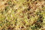 SBM_10834