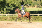 SBM_15385