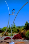Wind Dancer