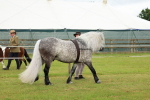 SBM_00492
