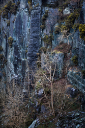 Base jumper