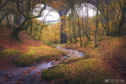 Underneath The Arches