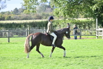 S21 - Novice & Newcomers First Ridden portfolio