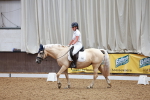 SBM_000779