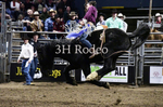 Reigns Provost_DSC2148