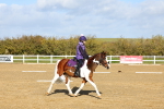 SBM_001146