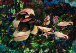 109 Lily-birds