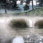 Landscape-082
