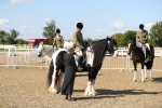 SBM_03221