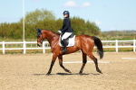 SBM_000256