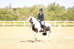 SBM_007883
