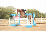 SBM_023985