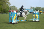 Class 13 - Rookie Jumping 50cm portfolio