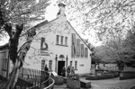 An original photograph by Paul Sandy - paulsandy.co.uk