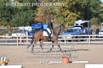 BPP_8297