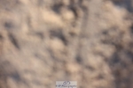 241201X-114112-00923