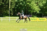 416-CLEVER_TRICK-Susie_Berry-XC portfolio