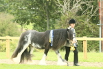 SBM_75132