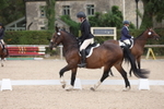 Unaffiliated Dressage portfolio