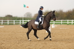 SBM_003385