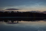 NLC Reflections