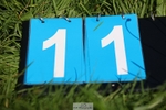 230820X-112538-2010
