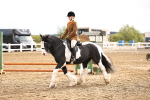 SBM_00295