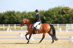 SBM_008365