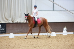 SBM_010216