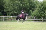 WJ6_6969