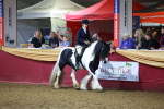 SBM_15906