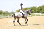 SBM_010100