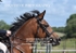 BPP_3409