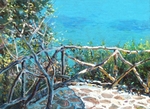 summer shade