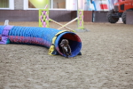 SBM_004509