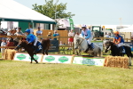 SBM_16896