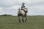 BVHT 140517  NXC -196