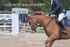 BPP_4535