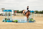 SBM_017716