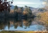 Reflections