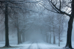 Clifton in snow_B0152