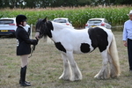 WJ6_6644