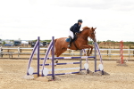SBM_006049