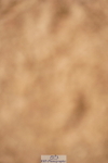 240526A-110958-07749