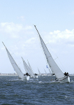 120417 AVIVA FLEUR DE LIS _M1V7321