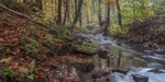 Autumn along Blackpool Brook