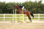 SBM_006184